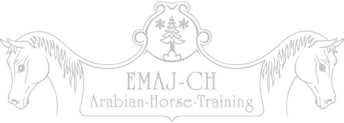Logo EMAJ CH Training
